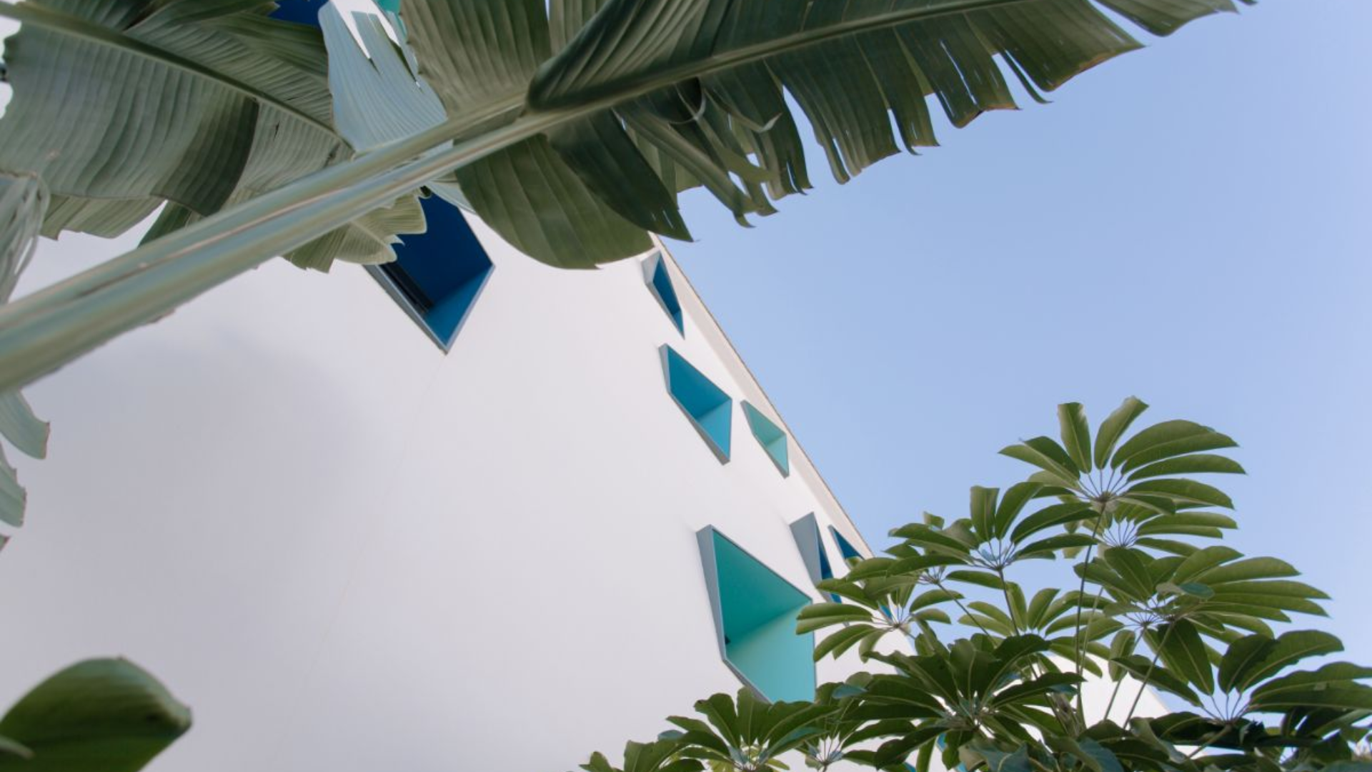 GRUPO_PROM_Mar_de_Colors